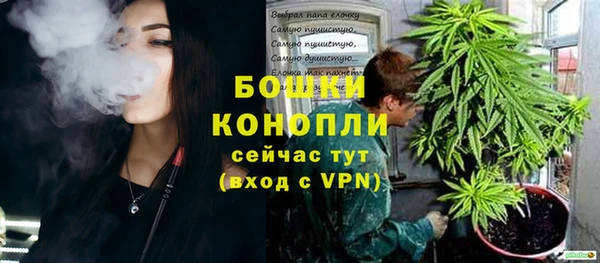 стафф Белокуриха