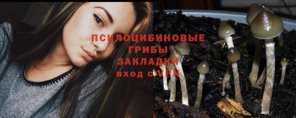 хмурый Балахна