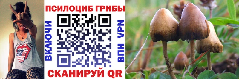 хочу наркоту Высоковск Псилоцибиновые грибы ЛСД